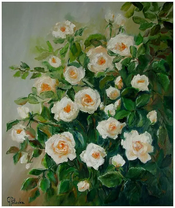 Roses Oil Painting Cm Gra Yna Potocka Touchofart