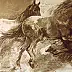 Jolanta Kalopsidiotis - Barockes arabisches Pferd