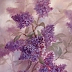Lidia Olbrycht - Lilacs